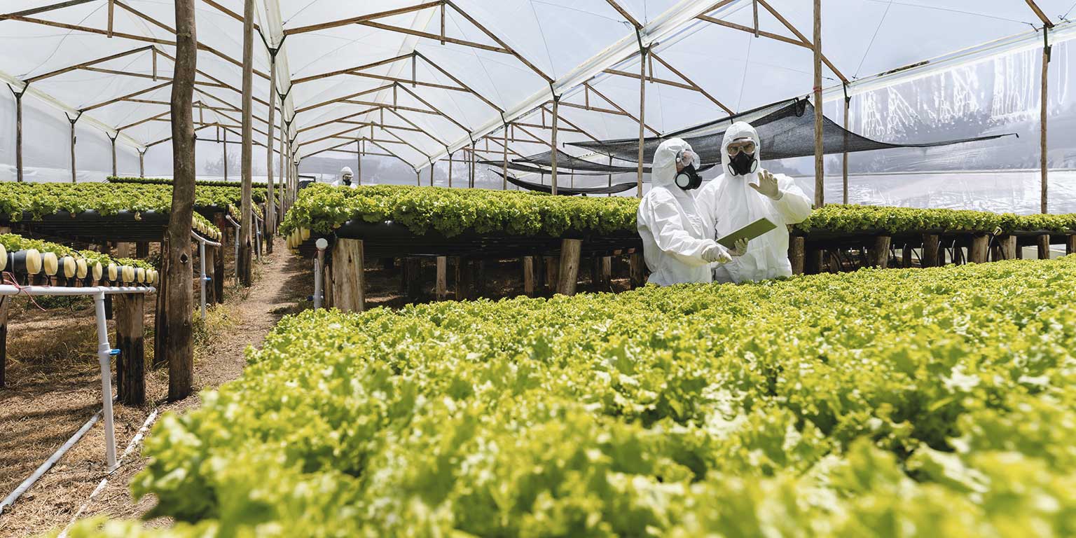 Strategy Agriculture McKinsey & Company